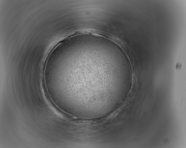 X0000112980049200909031118