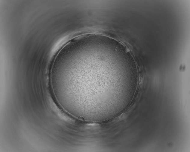 X0000112980053200909031118