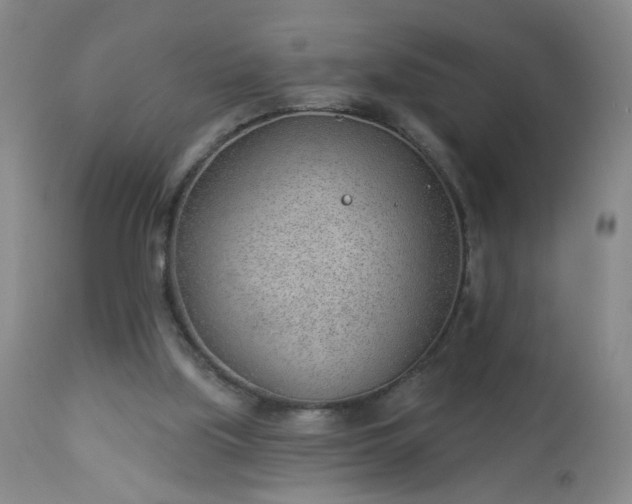 X0000112980059200909031118