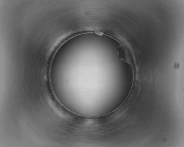 X0000112980060200909031119