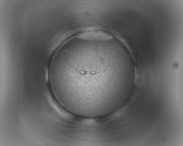 X0000112980061200909031119