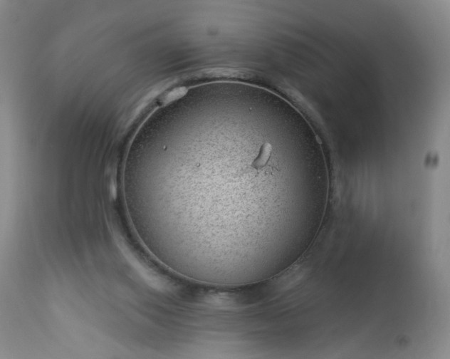 X0000112980062200909031119