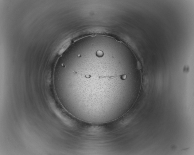 X0000112980063200909031119