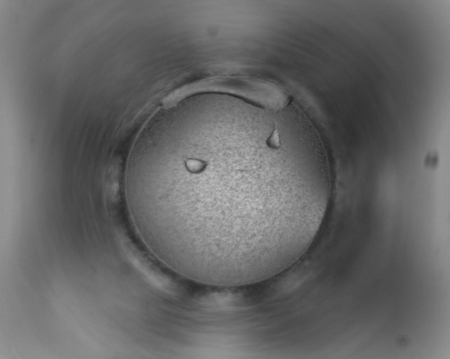 X0000112980065200909031119