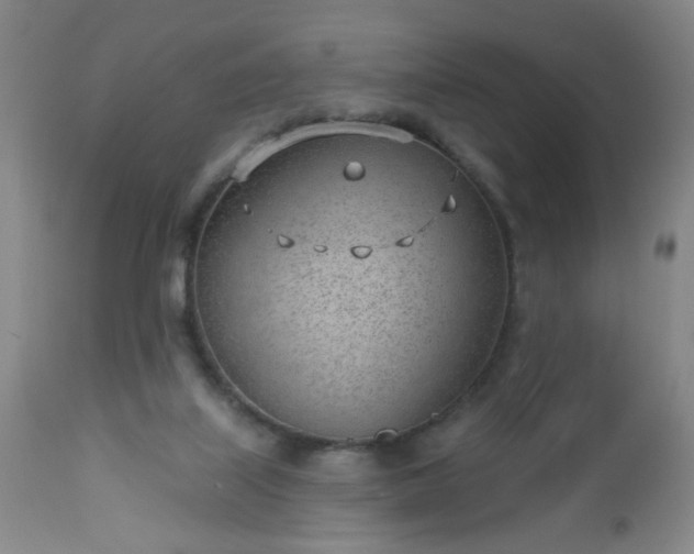 X0000112980067200909031119