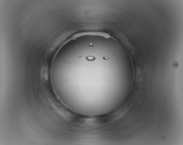 X0000112980068200909031119