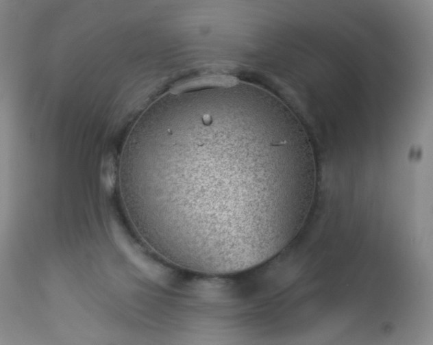 X0000112980069200909031119