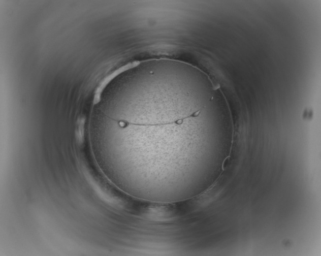 X0000112980070200909031119