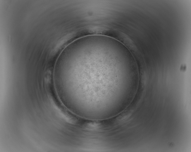 X0000112980071200909031119