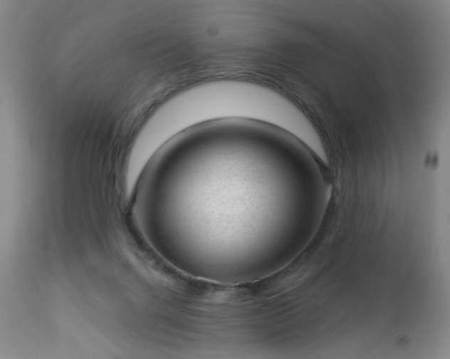 X0000112980072200909031119