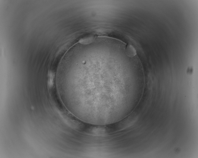 X0000112980075200909031119