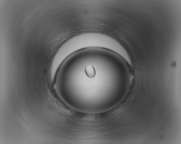 X0000112980076200909031119