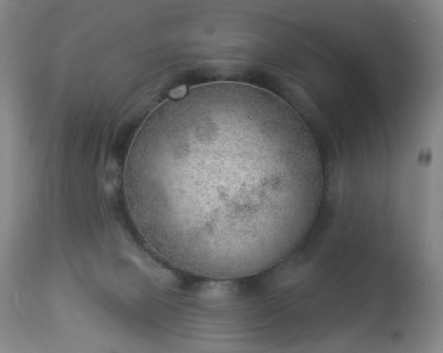 X0000112980077200909031119