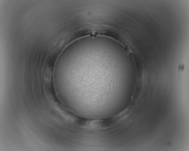 X0000112980078200909031119