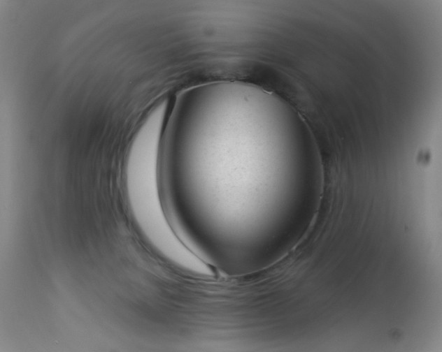 X0000112980080200909031119