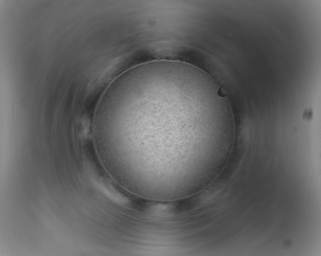 X0000112980081200909031119