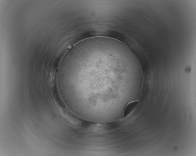 X0000112980082200909031119