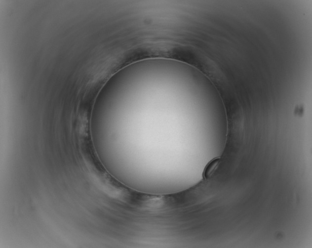 X0000112980083200909031119