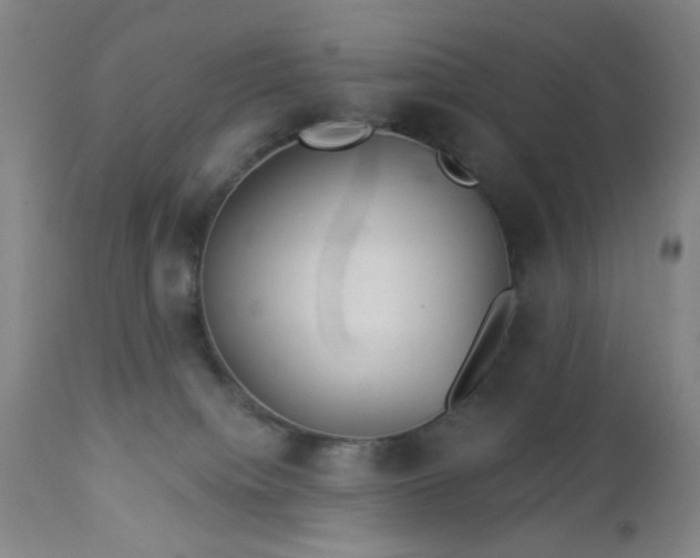 X0000112980084200909031119