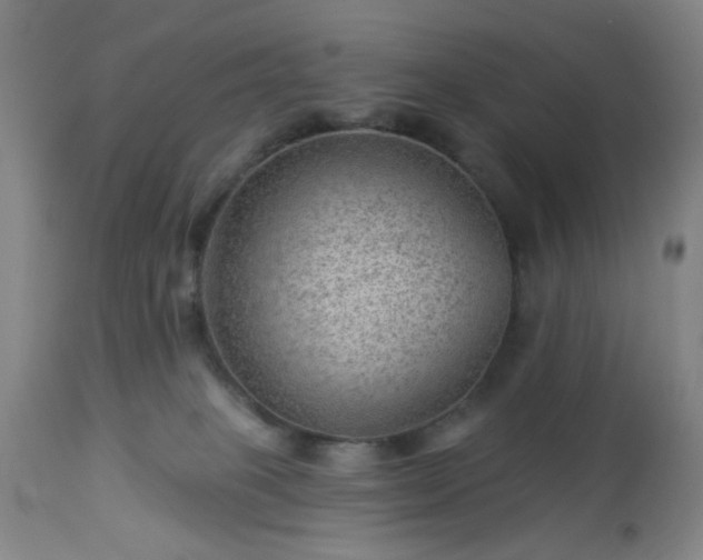 X0000112980085200909031119