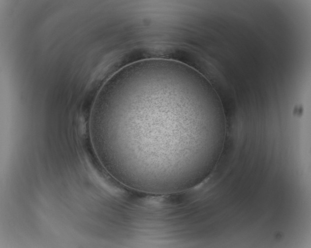 X0000112980086200909031119