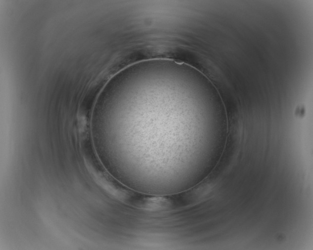 X0000112980087200909031119