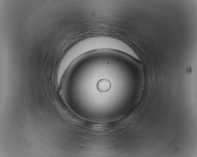 X0000112980088200909031119