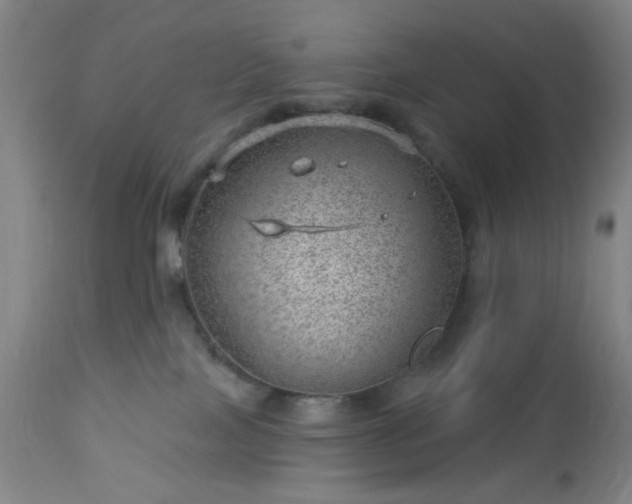 X0000112980089200909031119