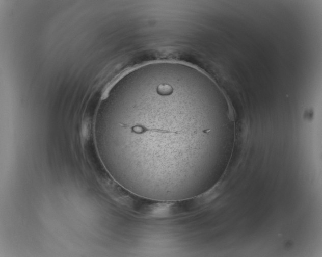 X0000112980090200909031119