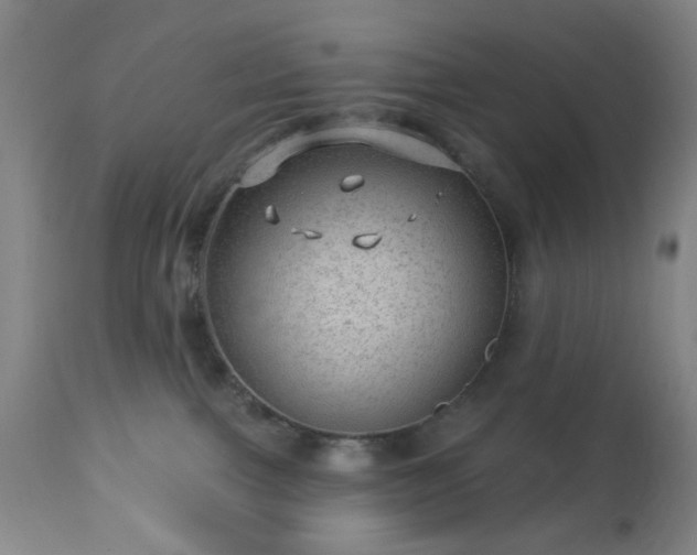 X0000112980091200909031119