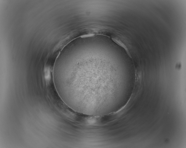 X0000112980094200909031119