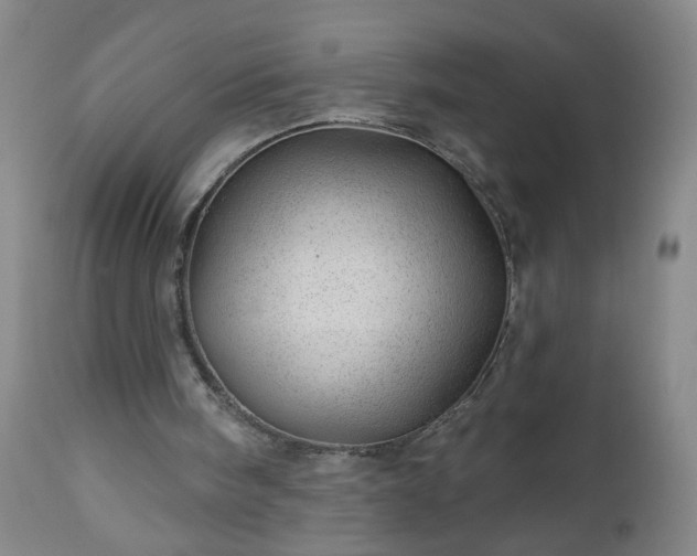 X0000112980098200909031118