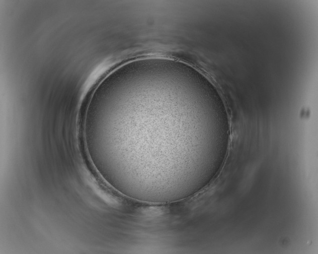 X0000112980102200909031118