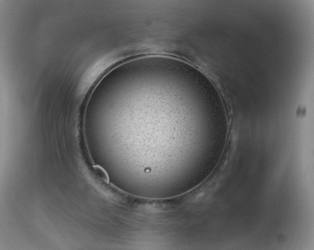 X0000112980103200909031118