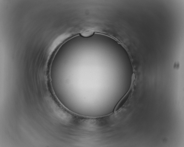 X0000112980104200909031118