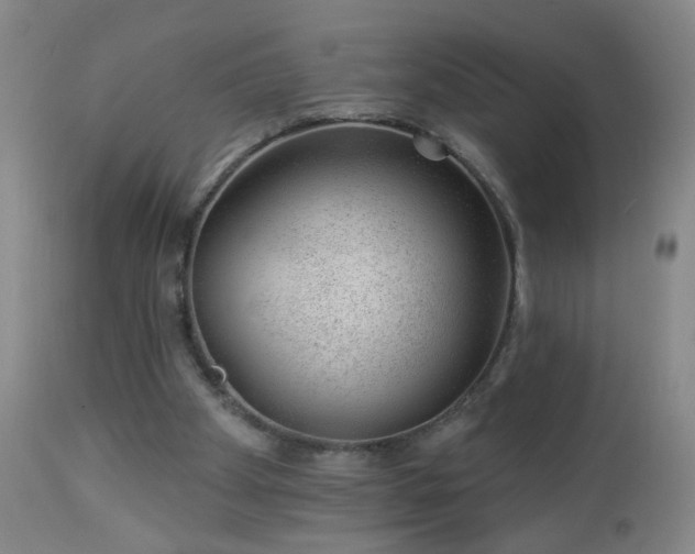 X0000112980105200909031118