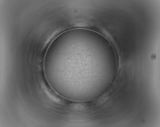 X0000112980106200909031118