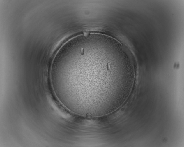 X0000112980107200909031118