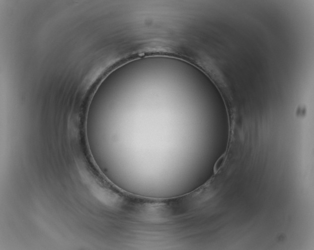 X0000112980108200909031118