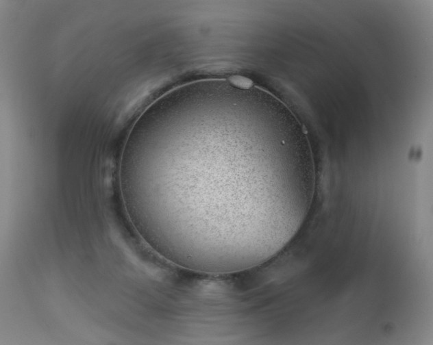 X0000112980115200909031118