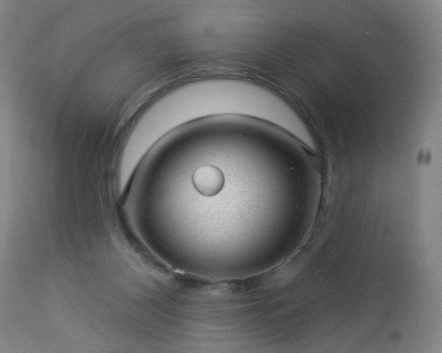 X0000112980116200909031118