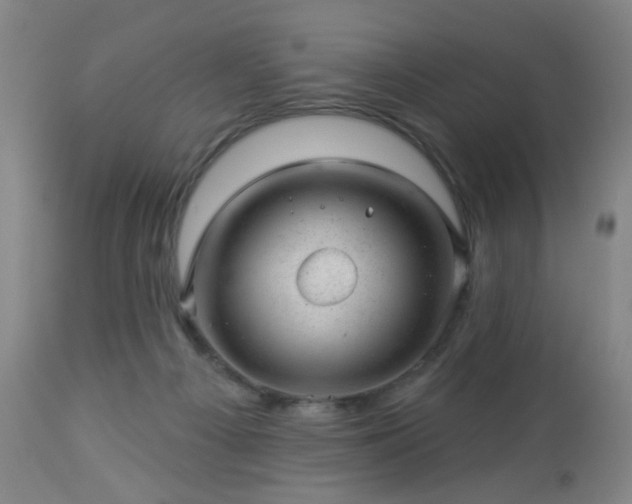 X0000112980121200909031118