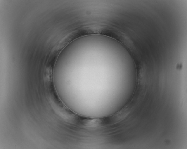 X0000112980122200909031118