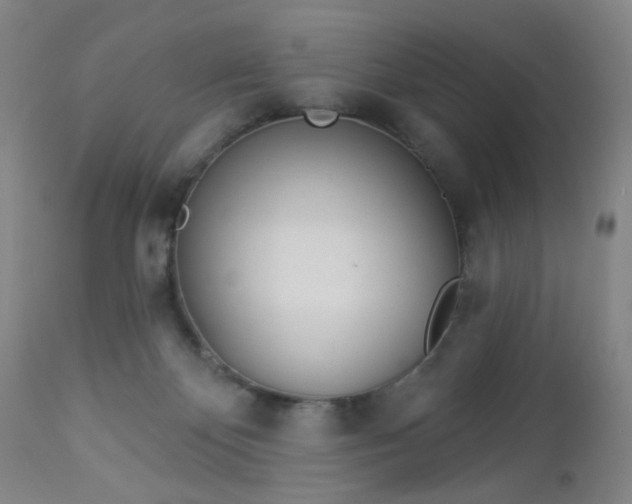 X0000112980124200909031118