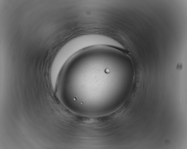 X0000112980125200909031118