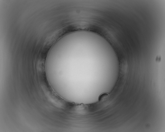 X0000112980126200909031118