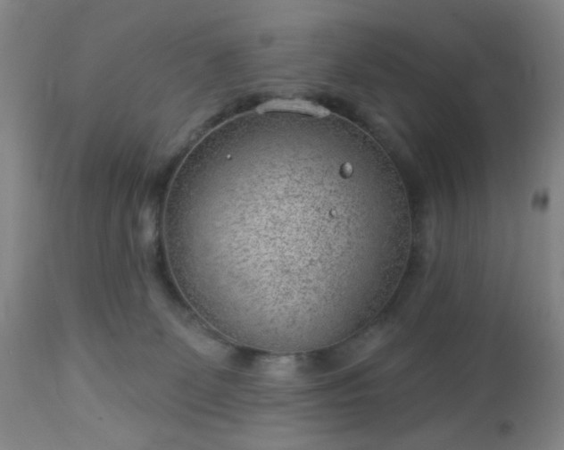 X0000112980131200909031118