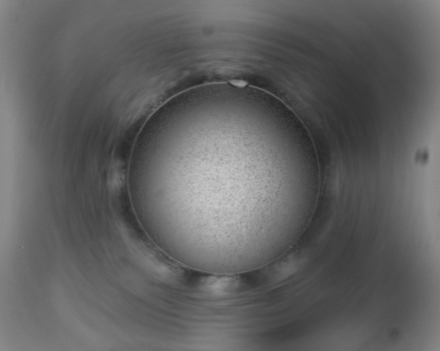 X0000112980135200909031117