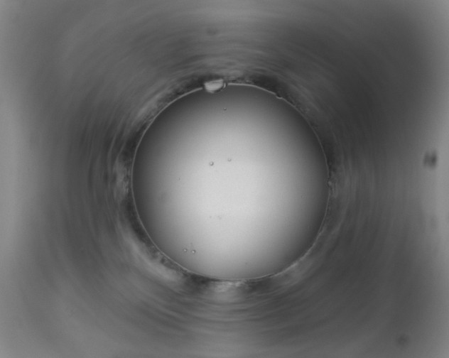 X0000112980136200909031117