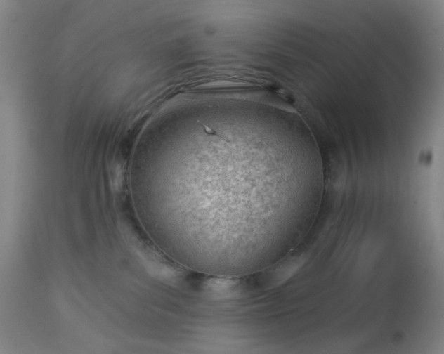 X0000112980139200909031117